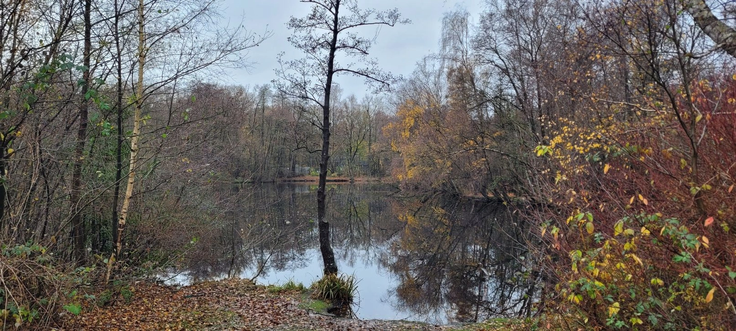 3. MidSummerRun am 21.06.2024 Flyer vom Lauftreff Alstertal e.V.