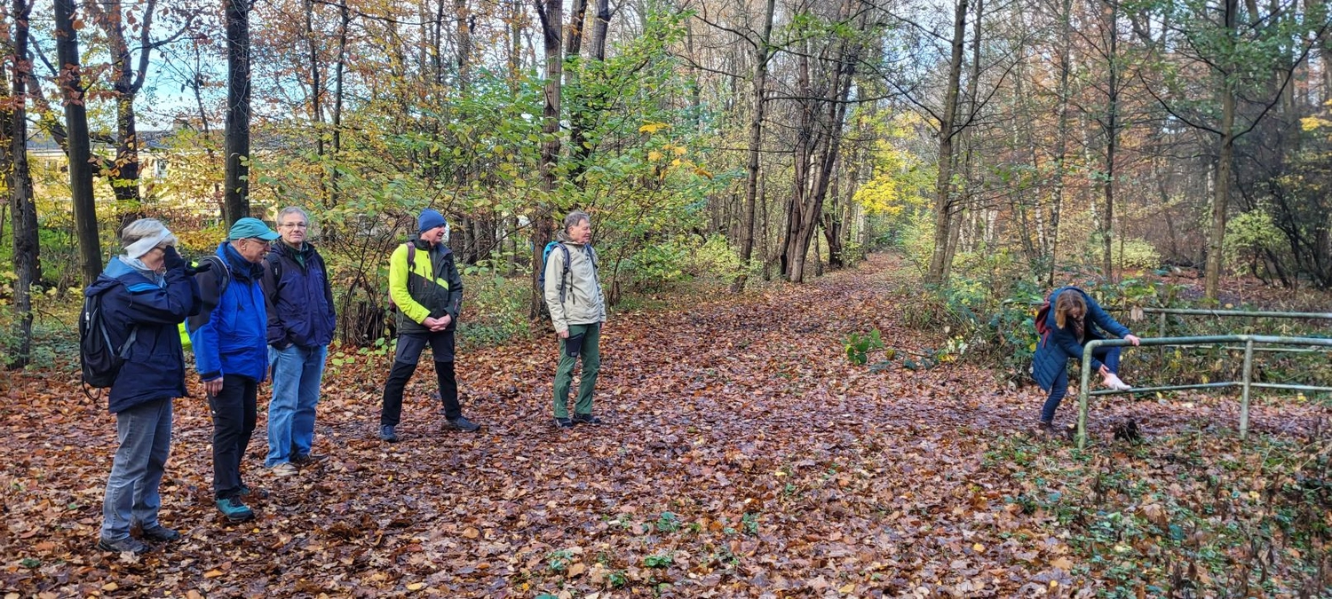 3. MidSummerRun am 21.06.2024 Flyer vom Lauftreff Alstertal e.V.