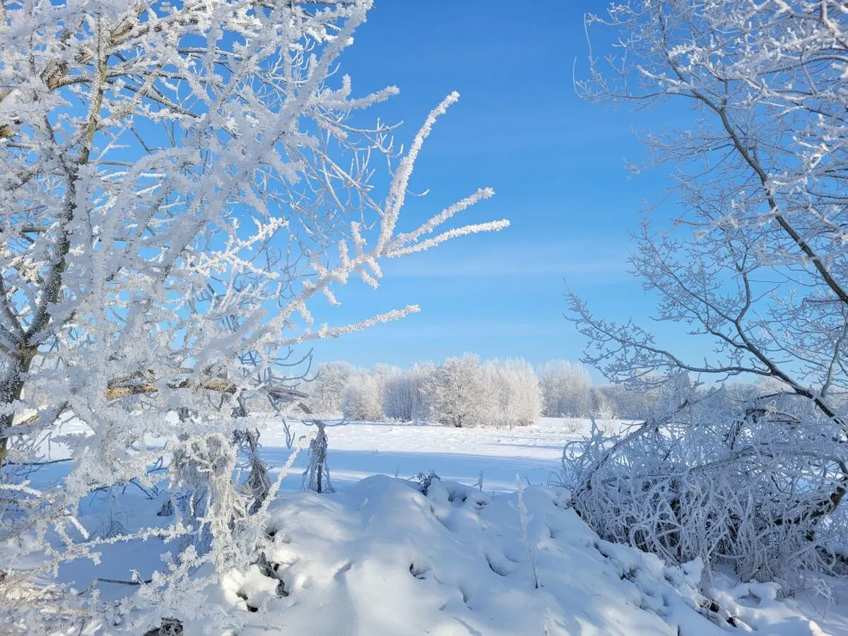3. MidSummerRun am 21.06.2024 Flyer vom Lauftreff Alstertal e.V.