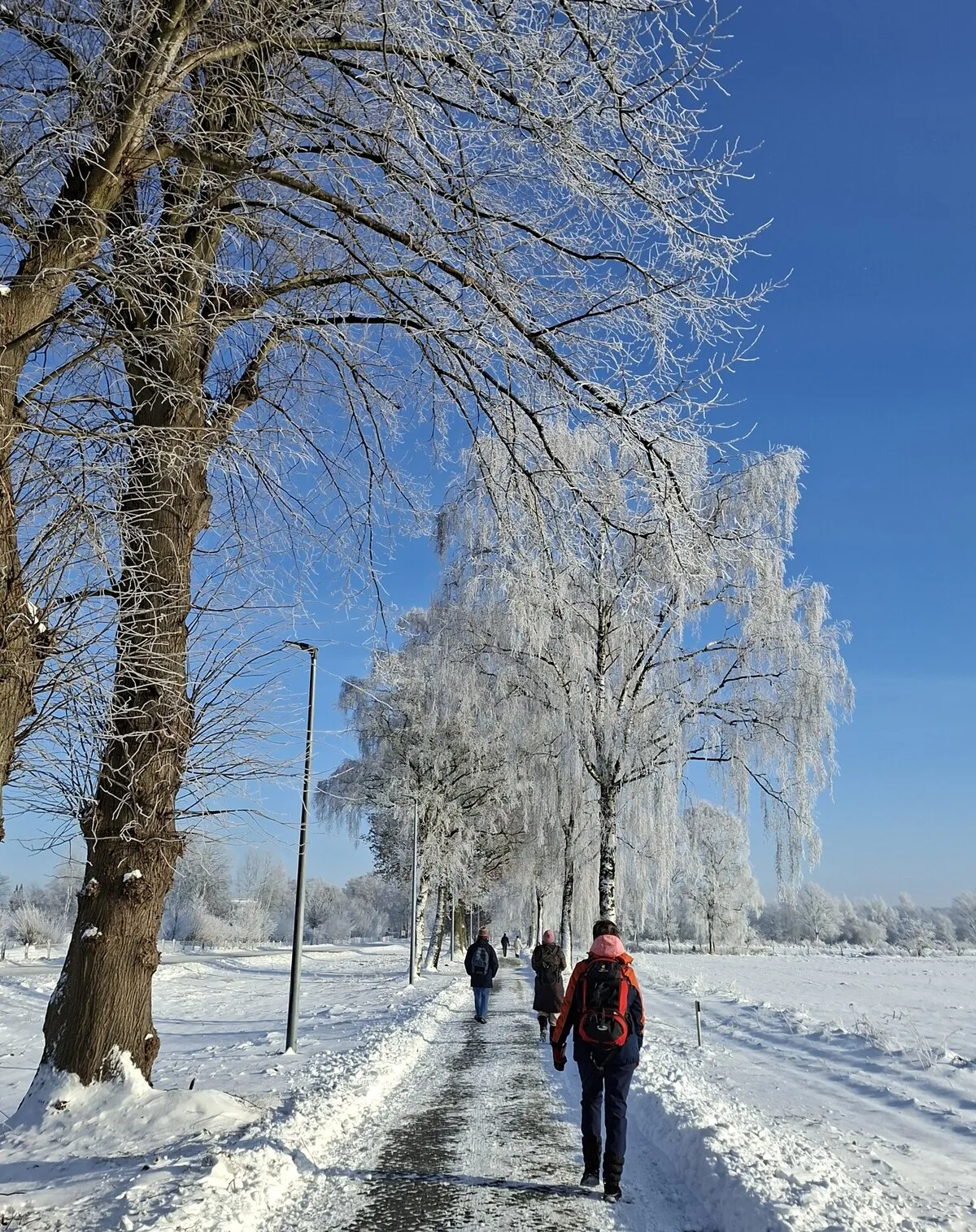 3. MidSummerRun am 21.06.2024 Flyer vom Lauftreff Alstertal e.V.