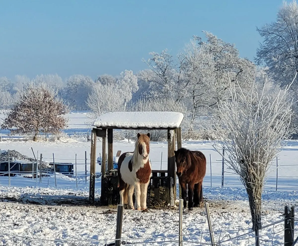 3. MidSummerRun am 21.06.2024 Flyer vom Lauftreff Alstertal e.V.
