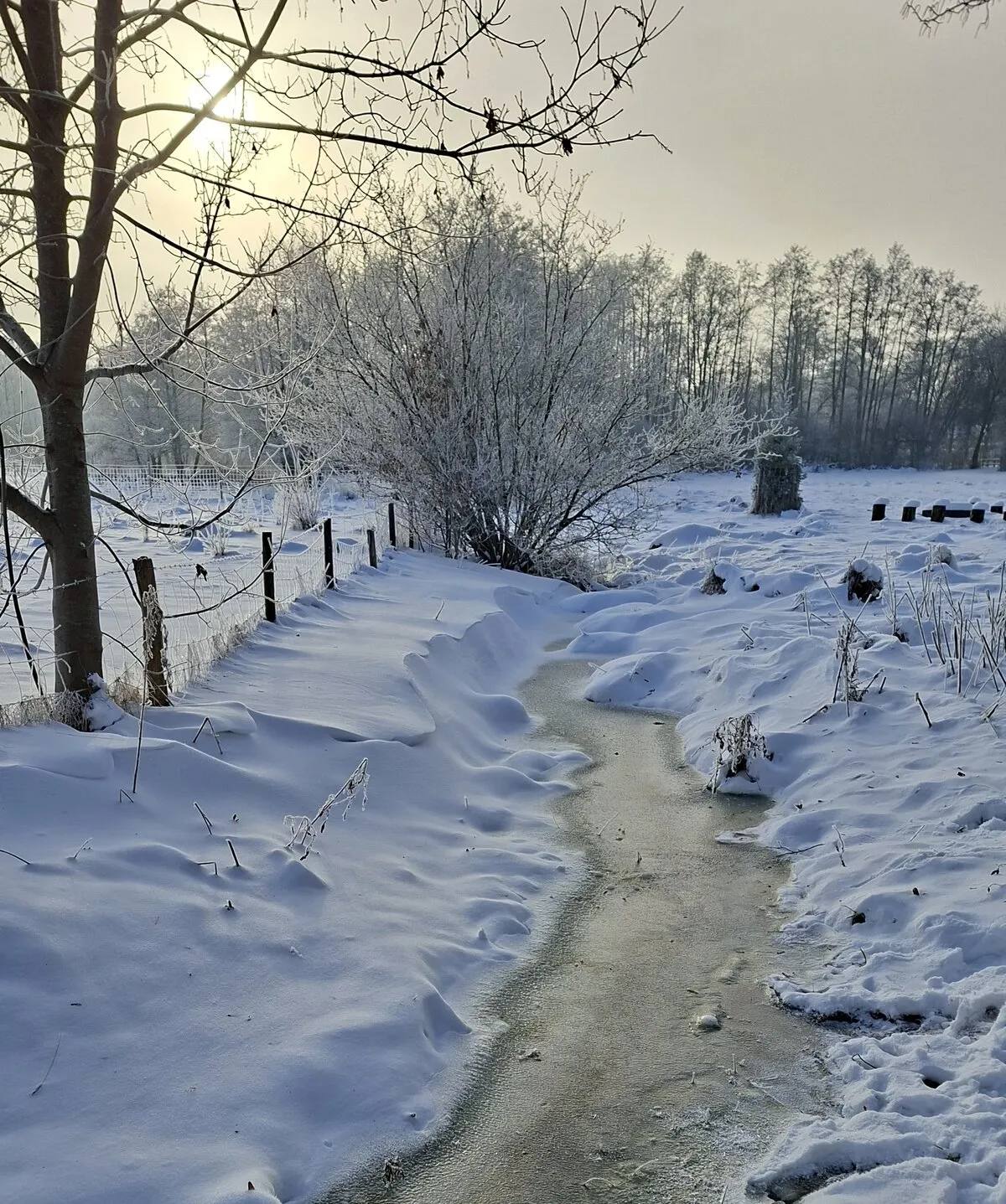 3. MidSummerRun am 21.06.2024 Flyer vom Lauftreff Alstertal e.V.