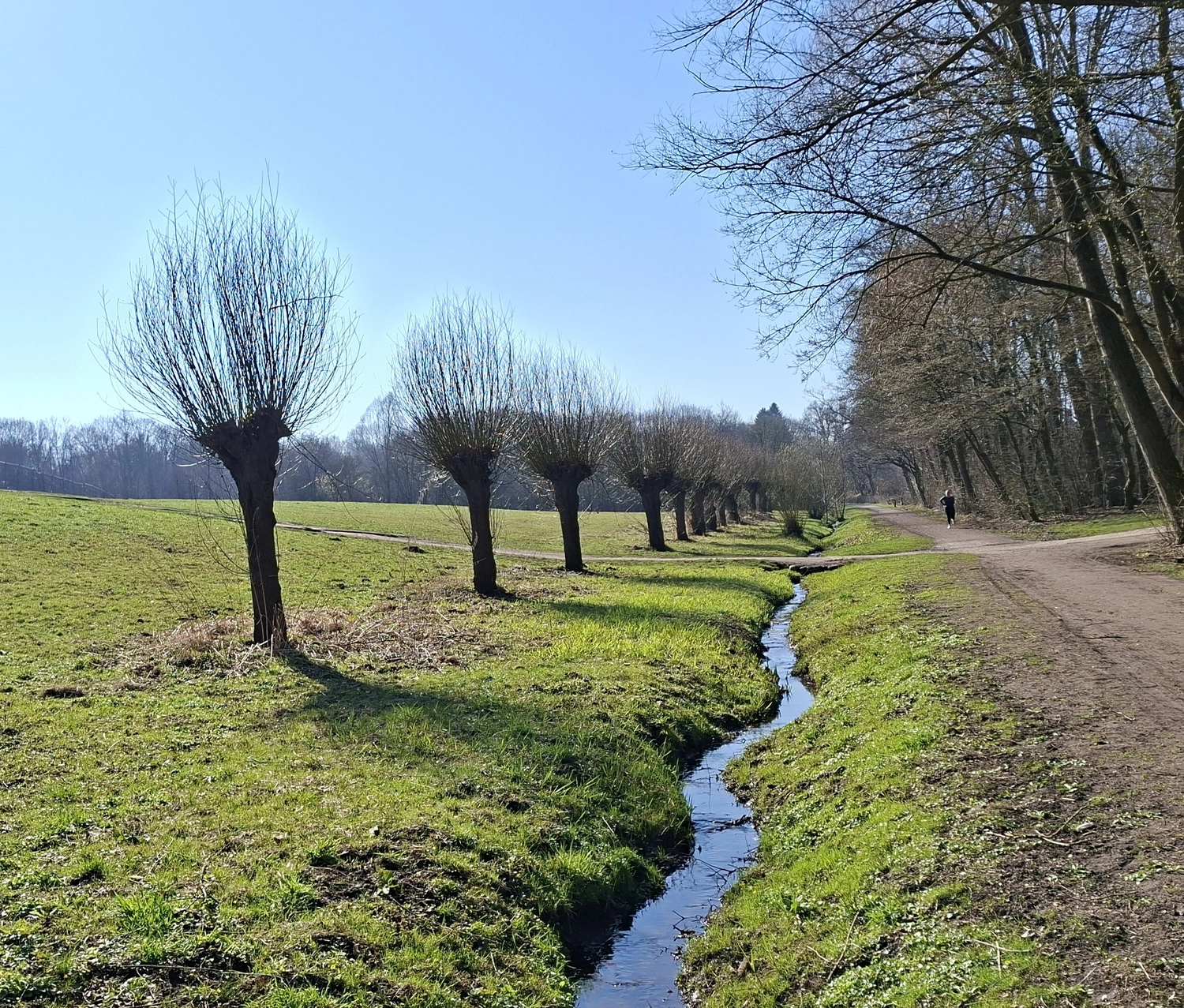 3. MidSummerRun am 21.06.2024 Flyer vom Lauftreff Alstertal e.V.