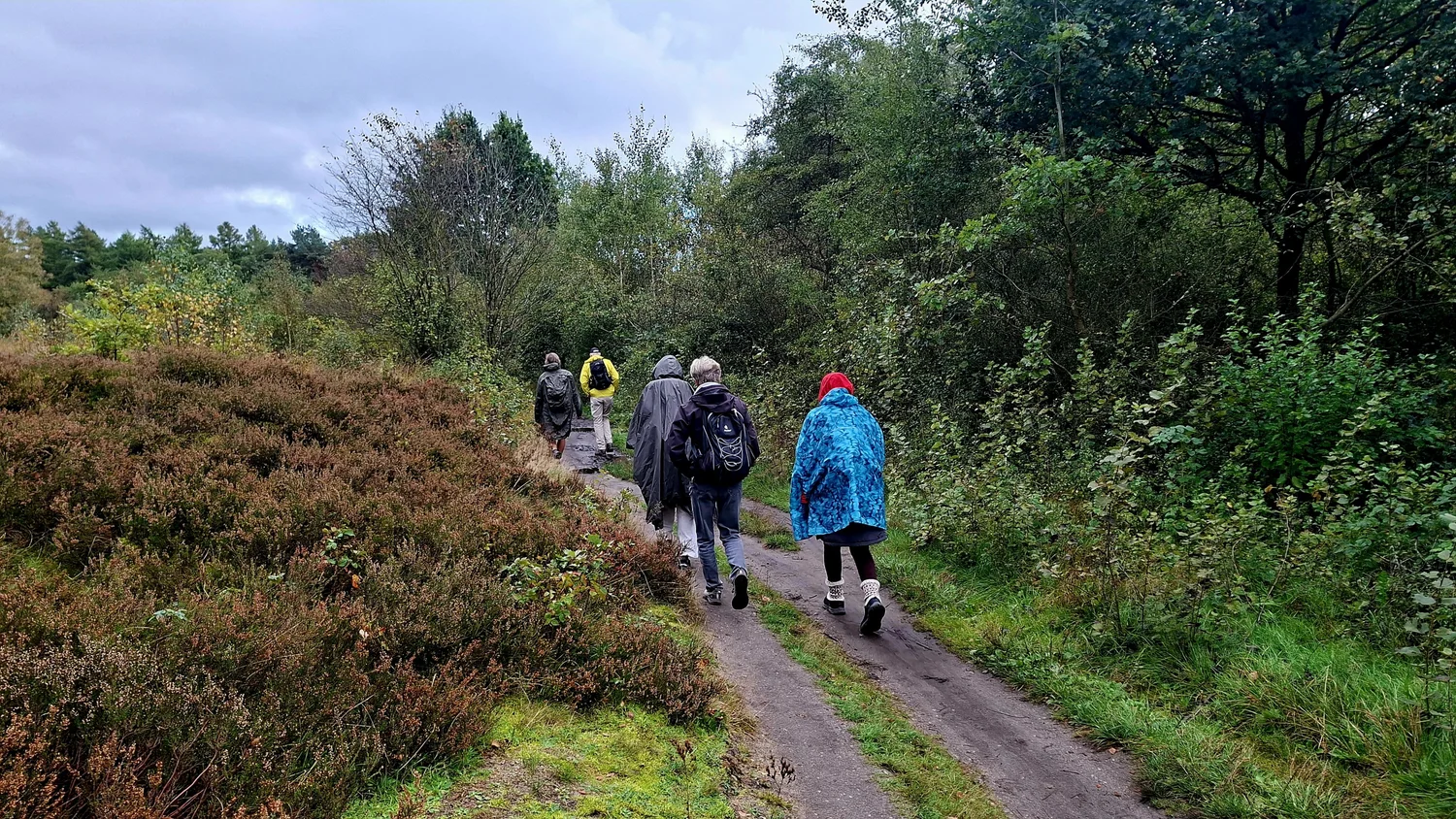 Bericht zur Wanderung am 11.10.26