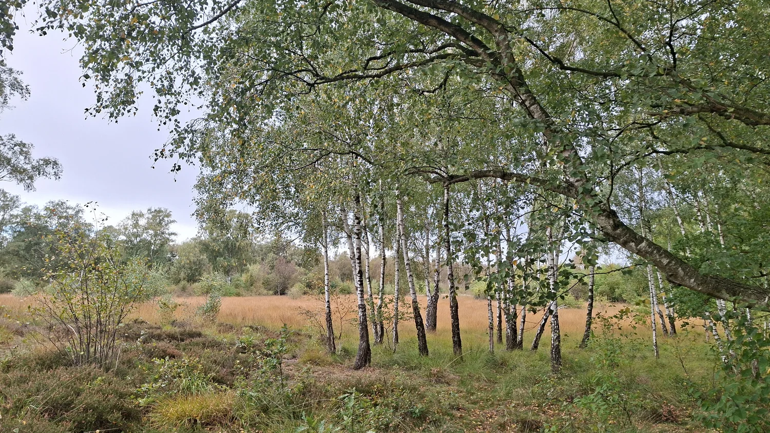 Bericht zur Wanderung am 11.10.26