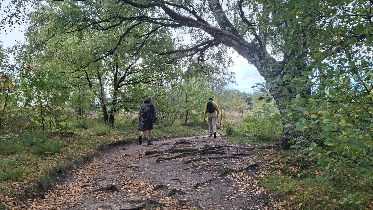 Bericht zur Wanderung am 11.10.26